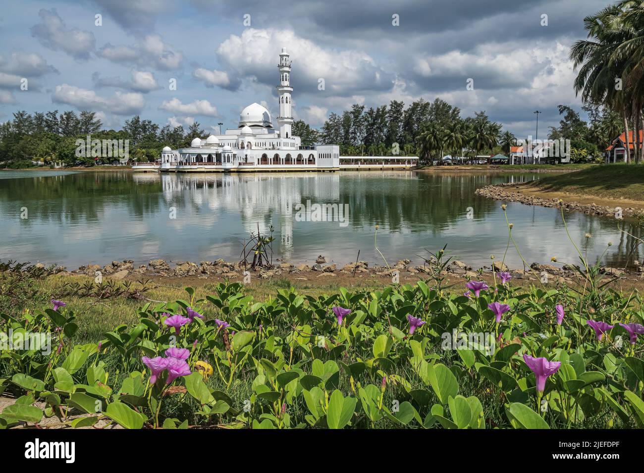 Low angle view with flowering vegetation, a lake and Kuala Ibai Floating Mosque with its reflection in water at Kuala Ibai in Kuala Terengganu, Malaysia. Stock Photo