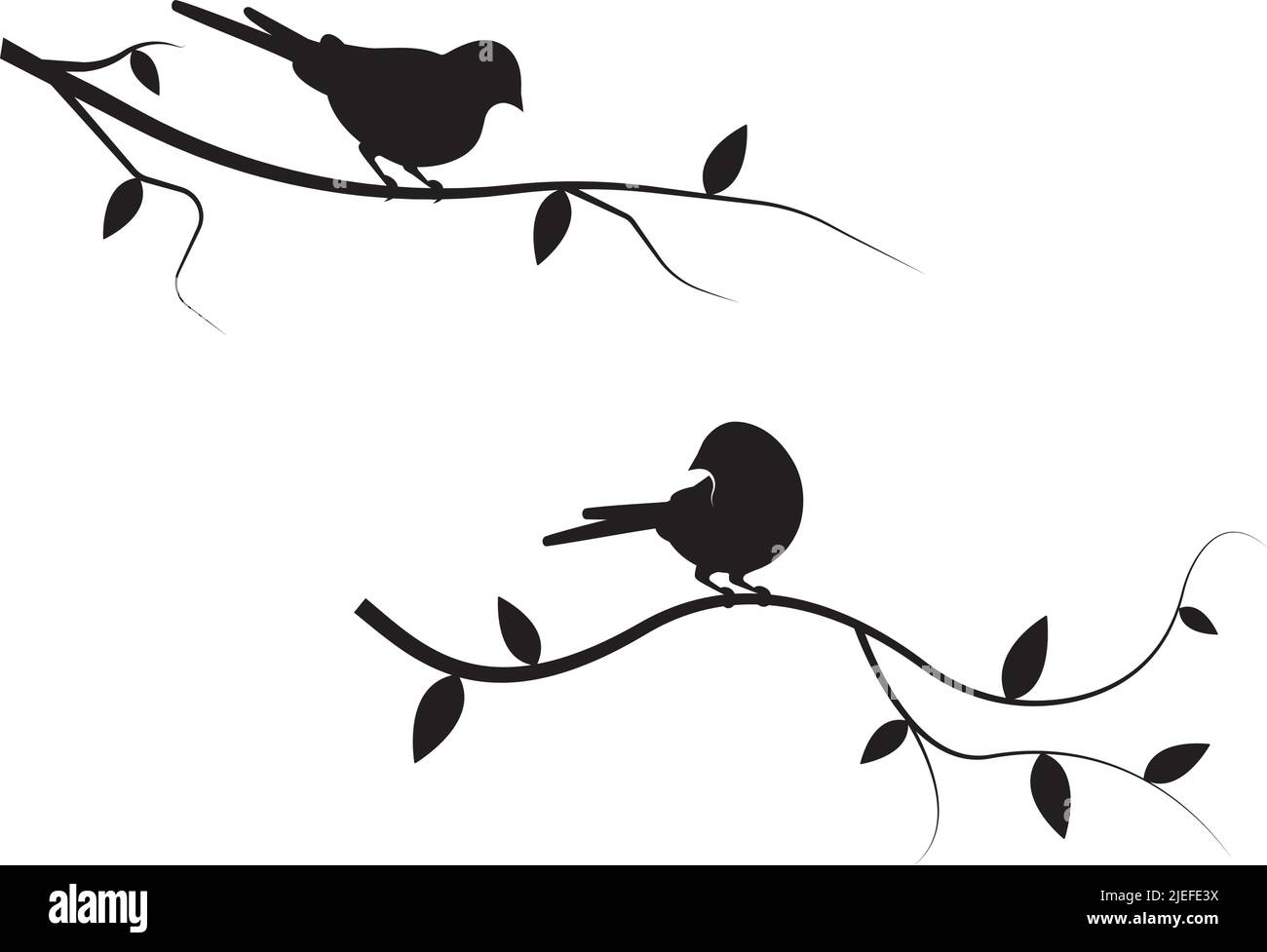 Birds on branch, birds couple, vector. Wall decals, birds on tree design. Birds in love. Nature