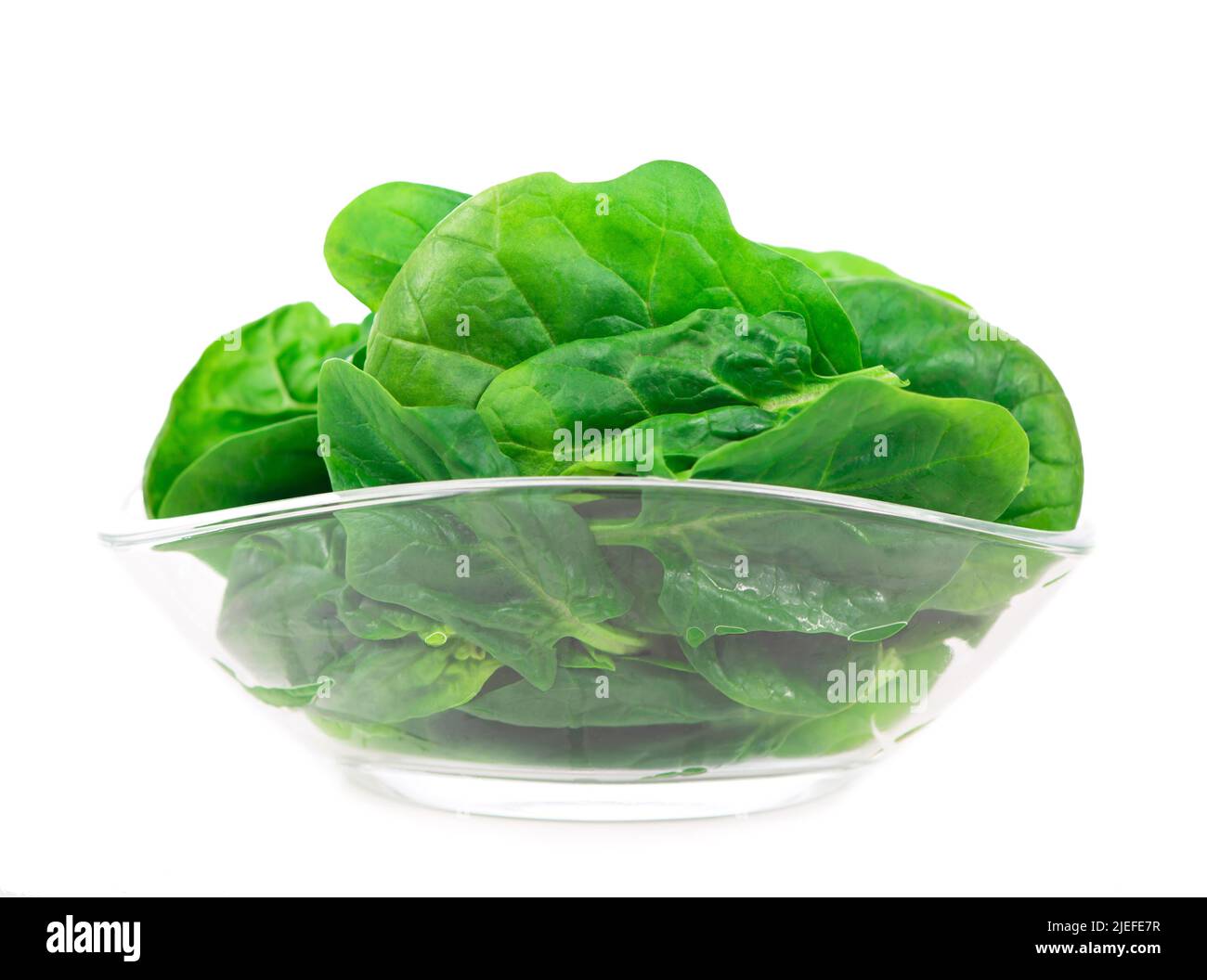 Pile of fresh green healthy baby spinach leaves on white background ...