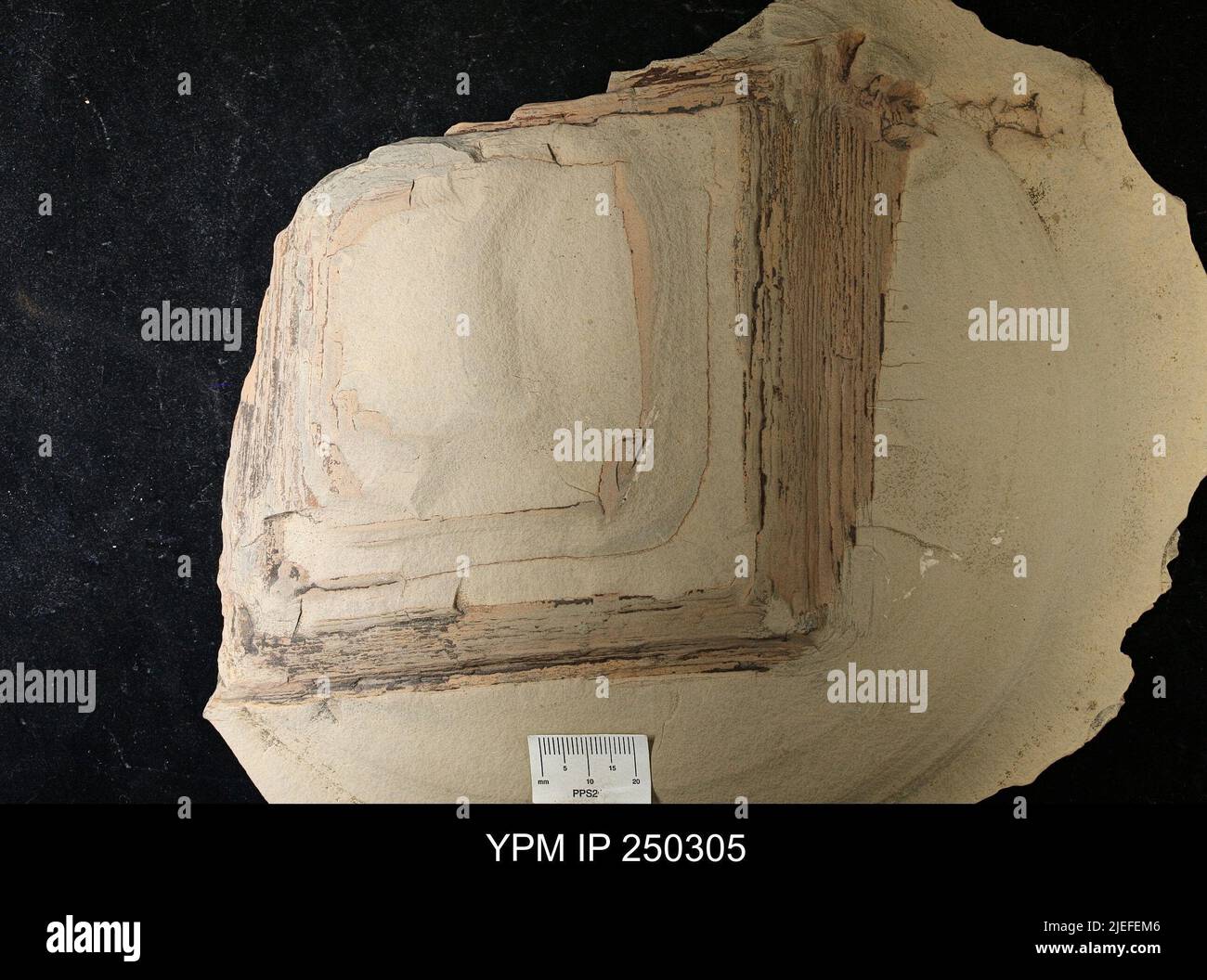 Mineral Halite; salt hopper Stock Photo Alamy