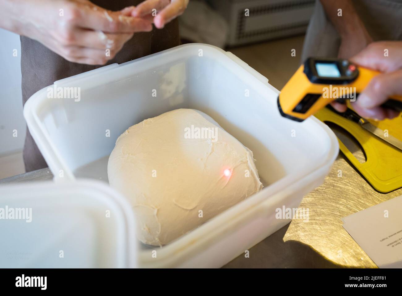 The process of making wheat bread in an artisan bakery. Measuring the temperature of the dough. Front view. Stock Photo