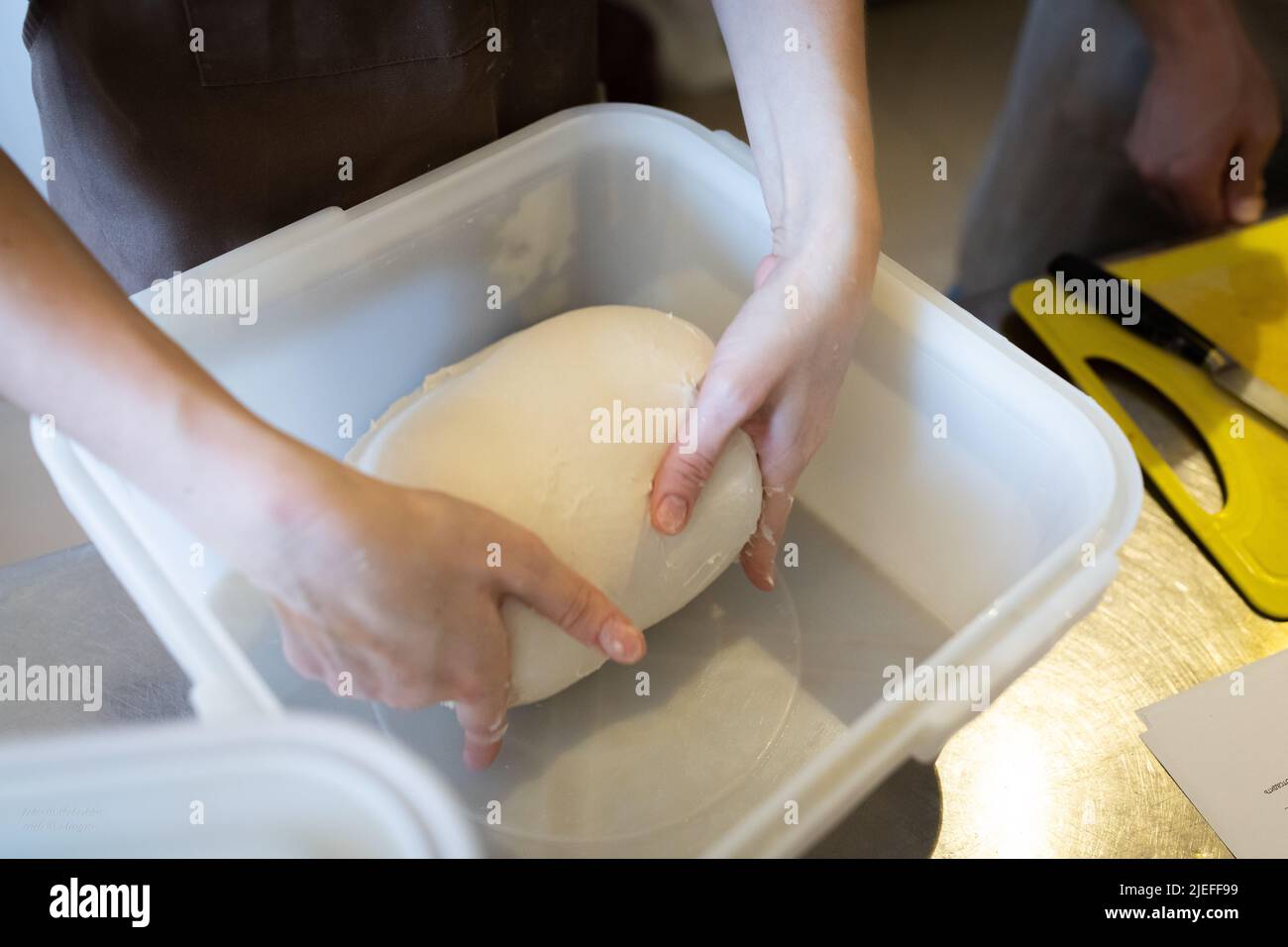 The process of making wheat bread in an artisan bakery. The folding of the dough during fermentation. Front view. Stock Photo