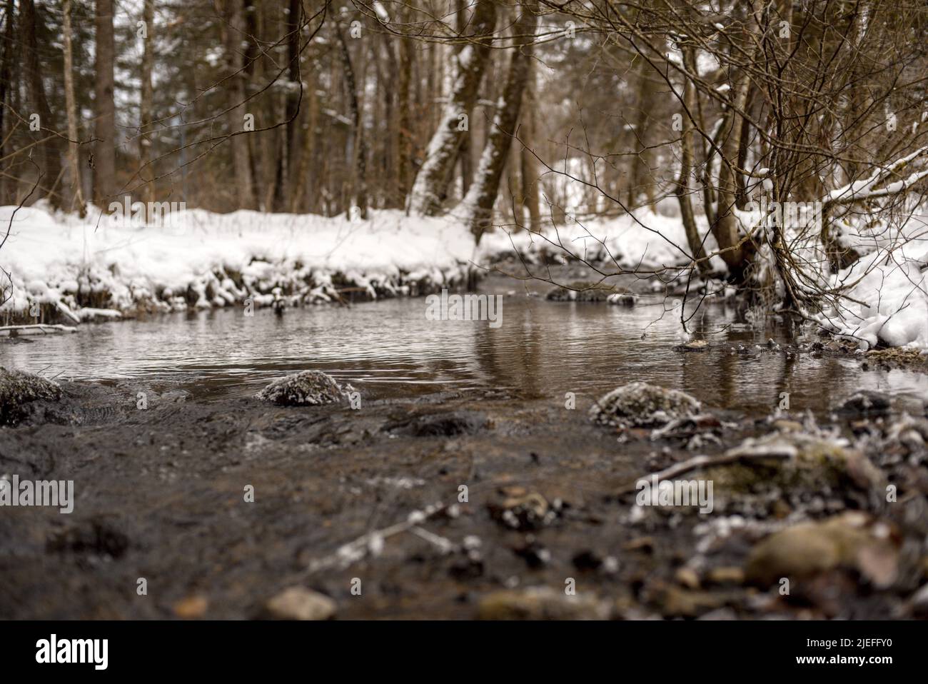 Bach in einer verschneiten Umgebung Stock Photo