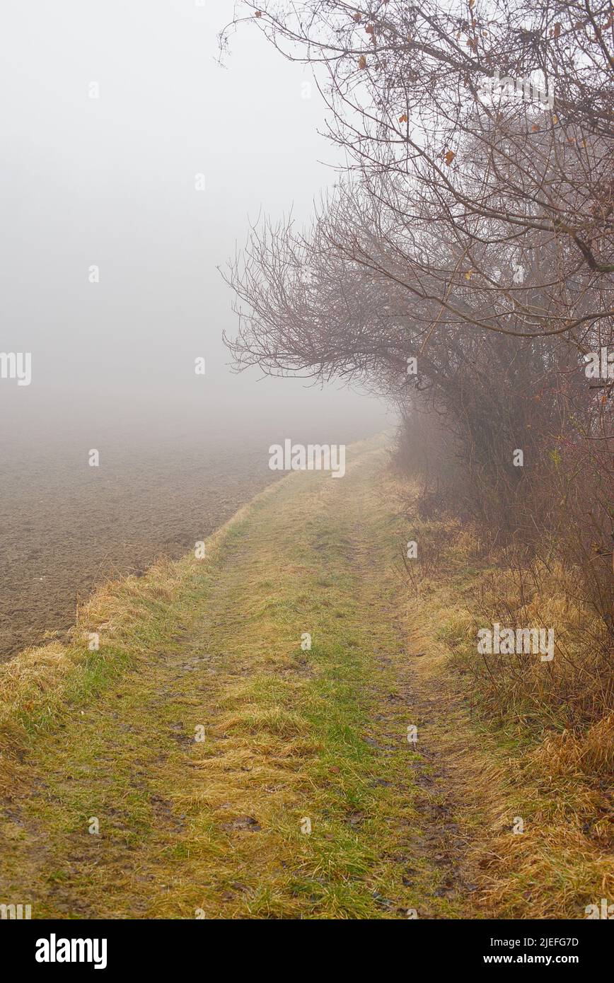 eintlang eines Feldweg an einem nebeligen Tag Stock Photo