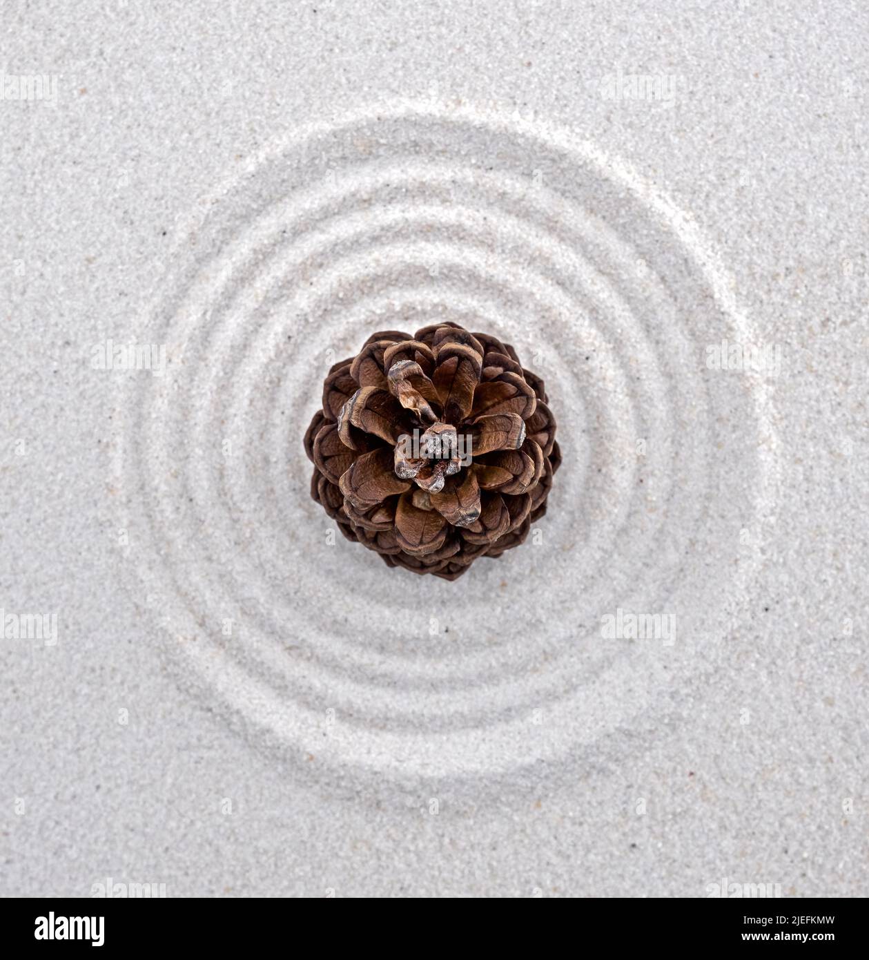 brown pine cone in the center of circles in the sand Stock Photo