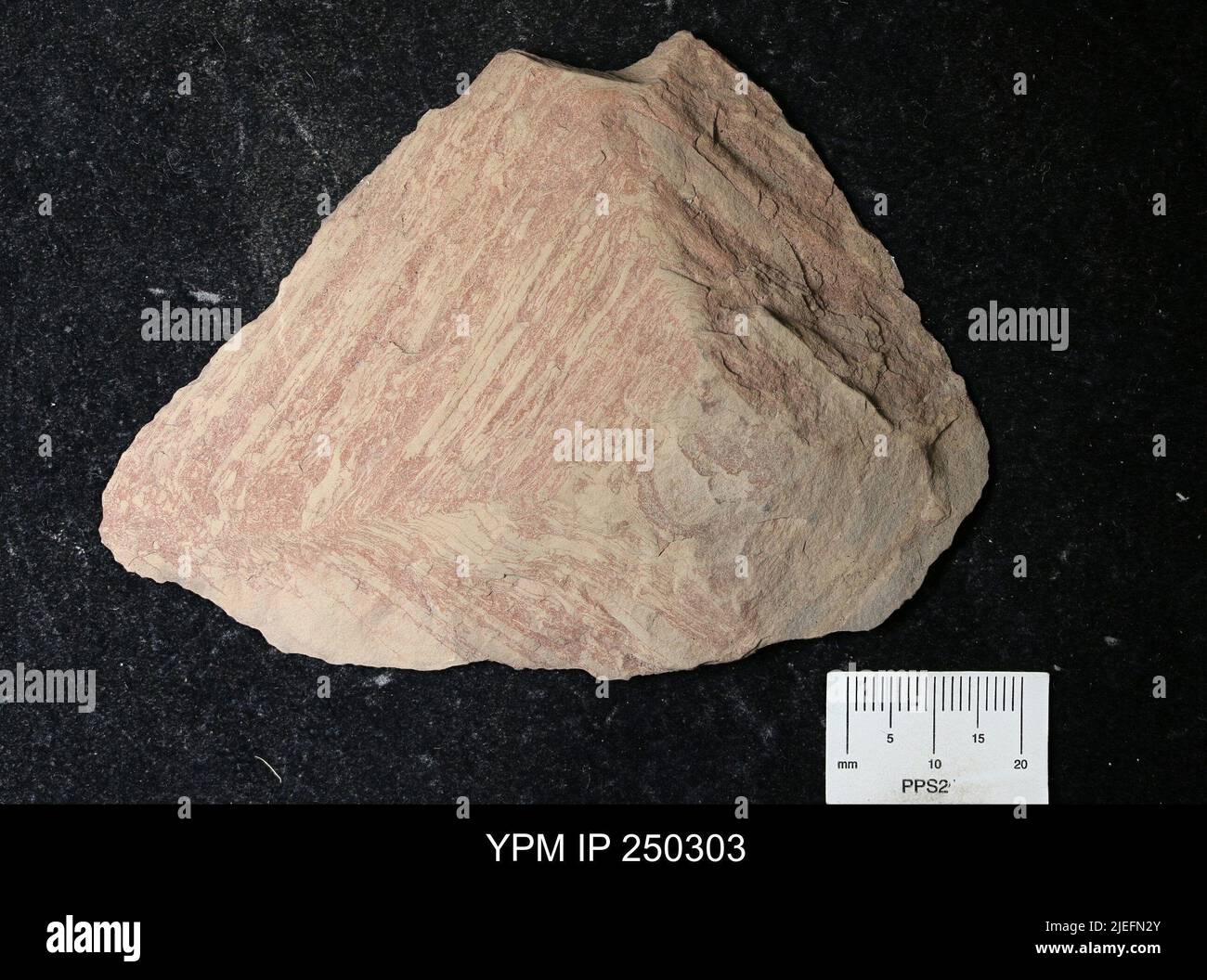 Mineral Halite; salt hopper Stock Photo Alamy