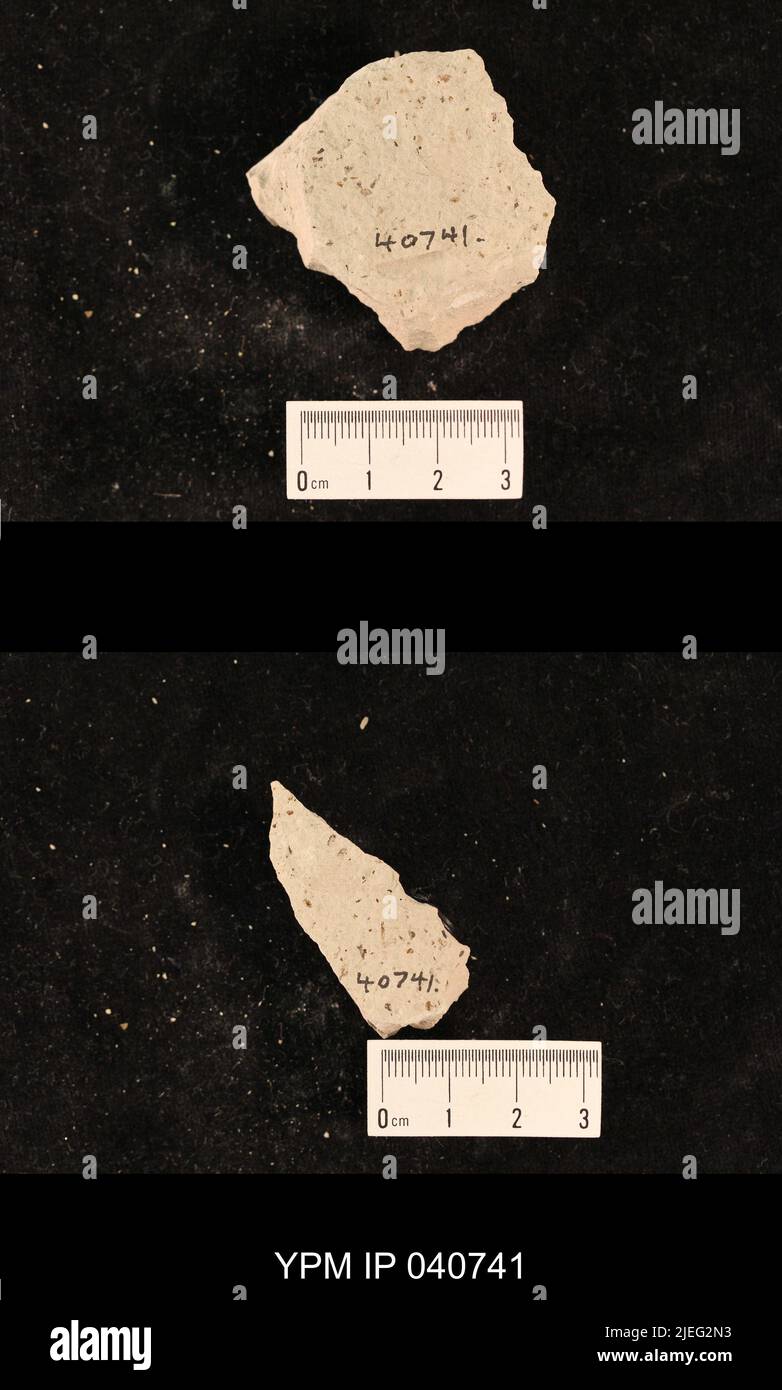 Elmer Insect Ephemeroptera. IPB.05168: Kansas. Dickinson County. Elmo. upper 2 ...
