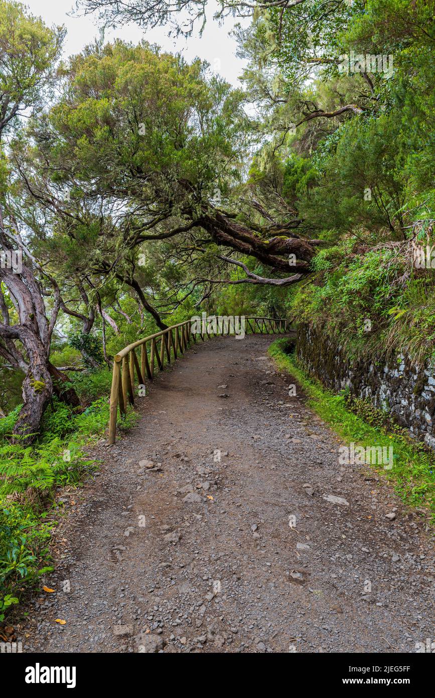 Levada do Risco hiking trail near Rabacal in Madeira Stock Photo