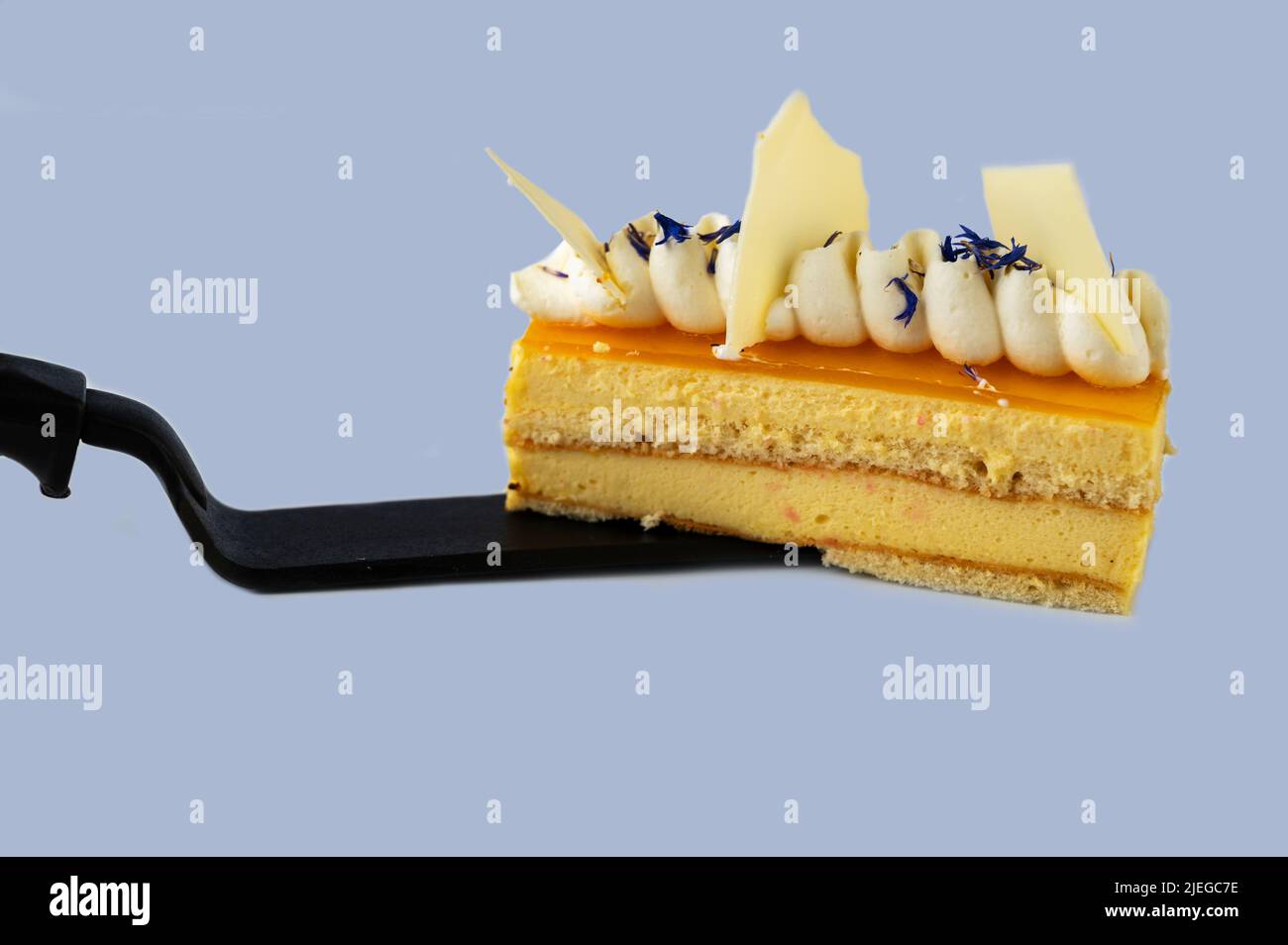 Light mango dessert with flower and white chocolate on black spatula on blue background, closeup. Stock Photo