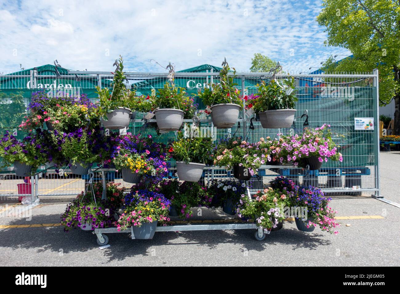 Real canadian superstore plants for sale hires stock photography and