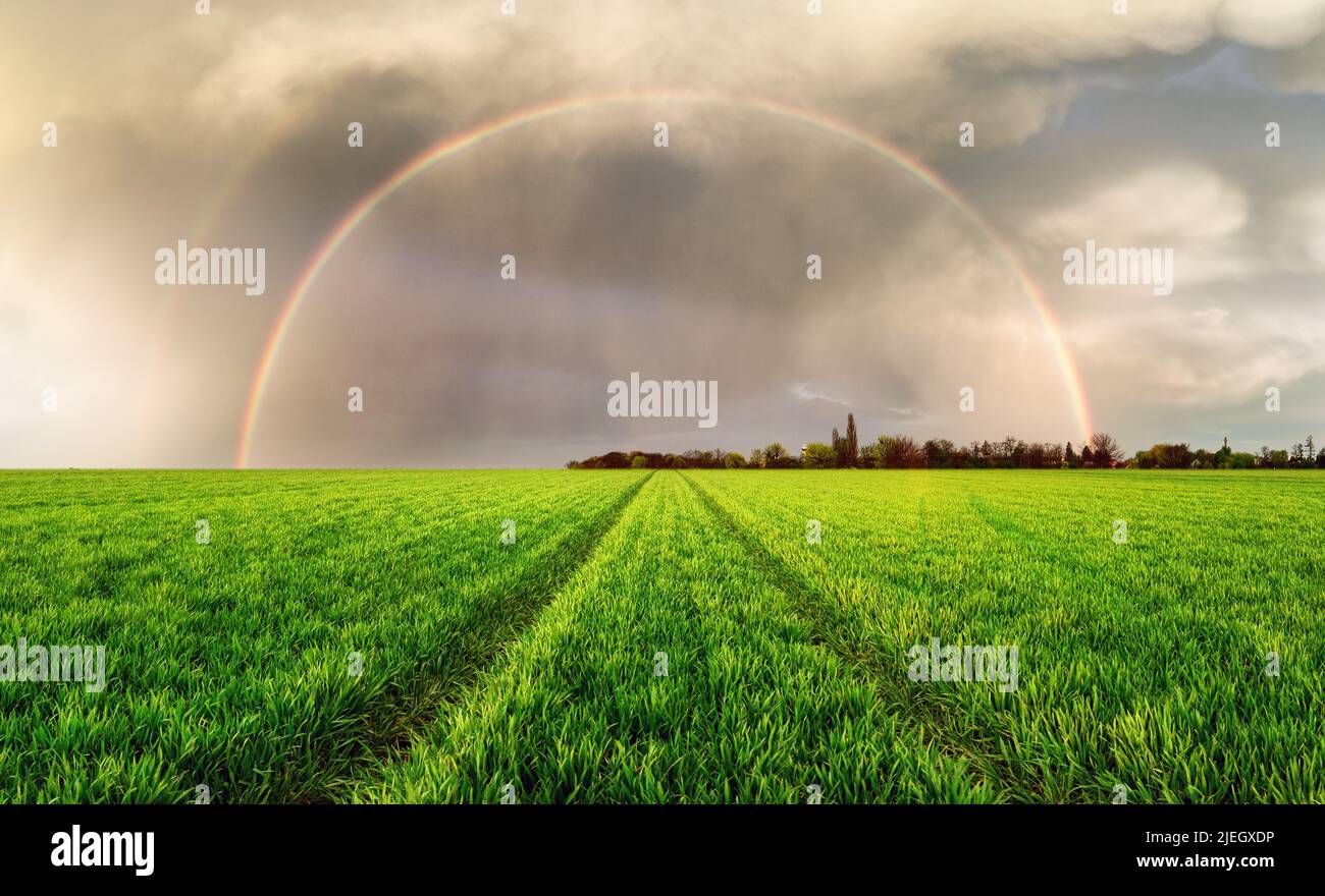 Rainbow over green meadow with road Stock Photo