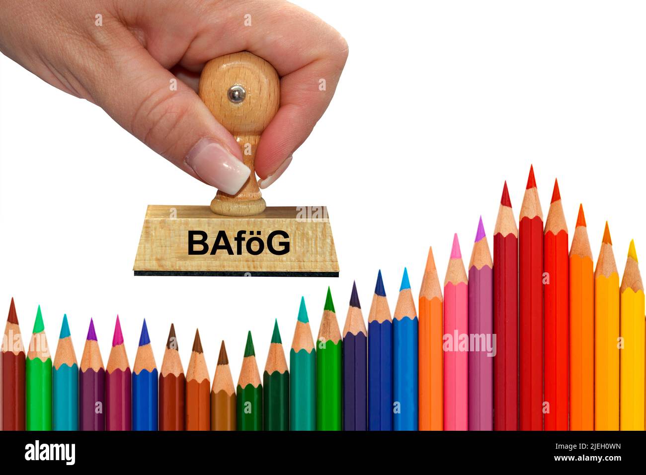 Bafg Whrend Ausbildung
