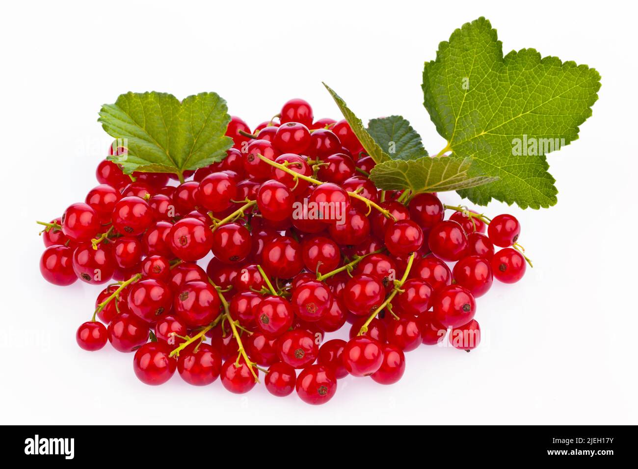 Rote Johannisbeeren (Ribisel) liegen auf einem weißen Hintergrund Stock Photo