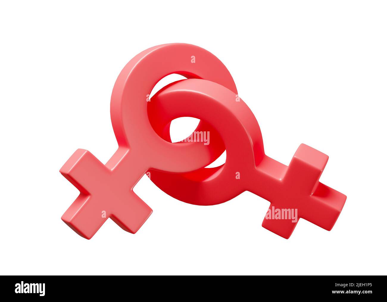 Lesbian gender symbols. Couple of women as a symbol of homosexuality. isolated on white background. 3d render. Stock Photo
