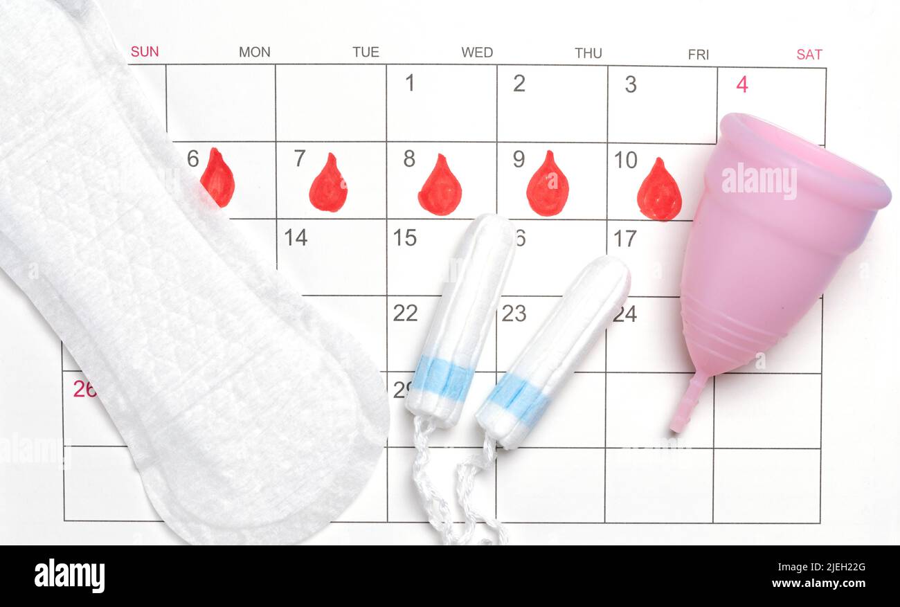 Menstruation calendar. Calendar with pads and tampons, menstrual cup. Stock Photo