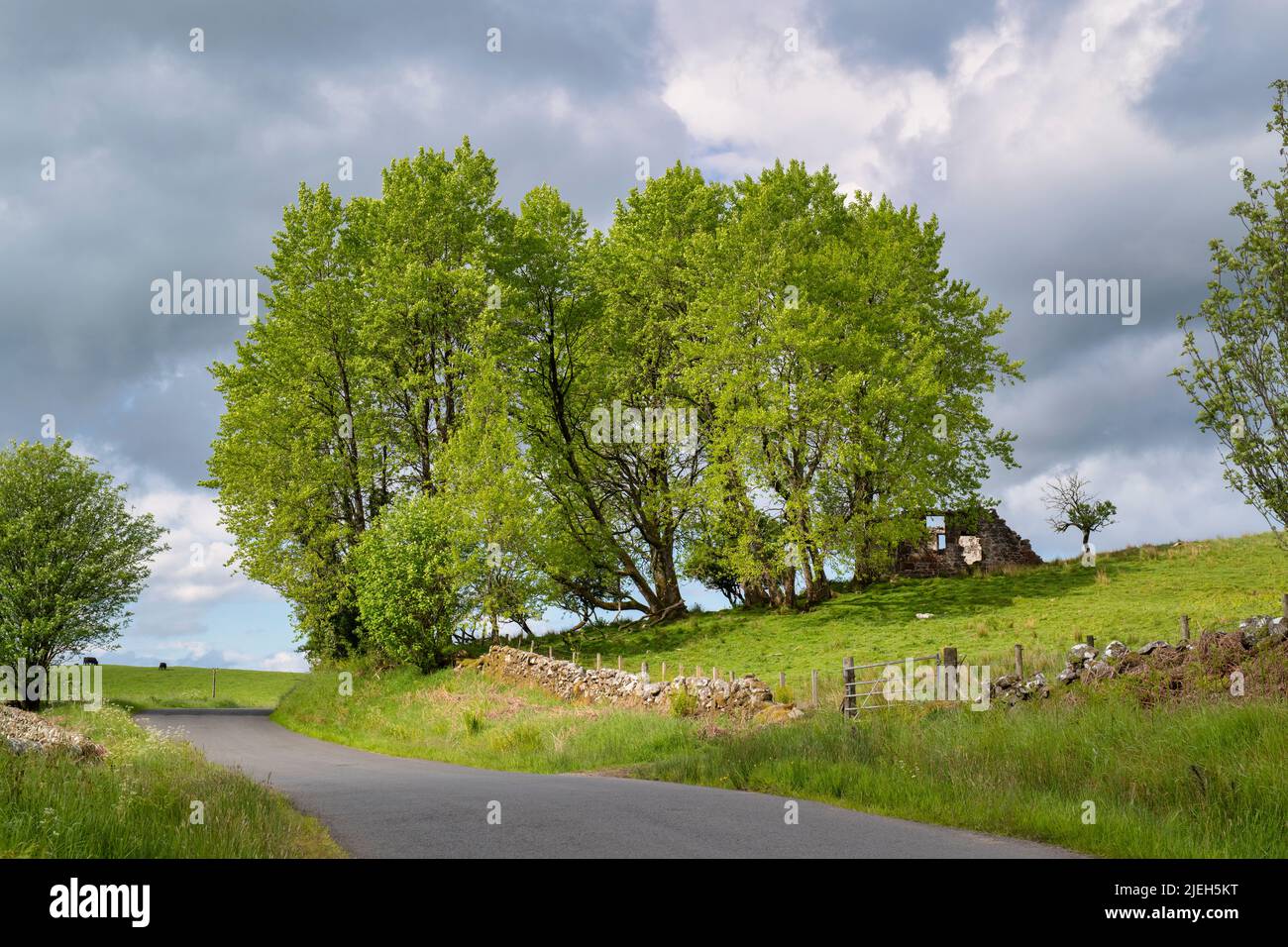 Scottish countryside in summer. Dumfries and Galloway, Scotland Stock Photo