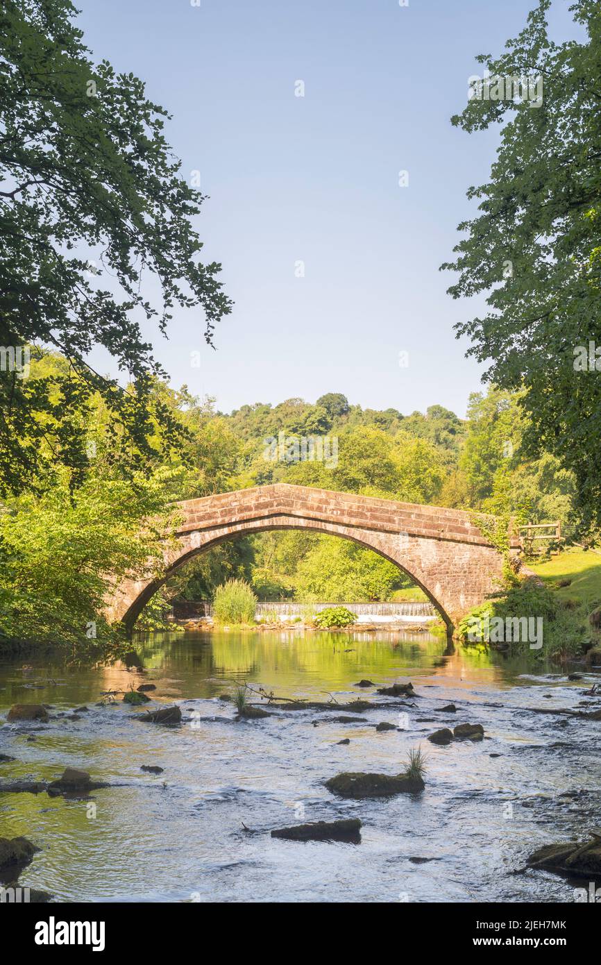 The listed St Bertrams Bridge over the river Manifold in Ilam, Staffordshire, England, UK Stock Photo