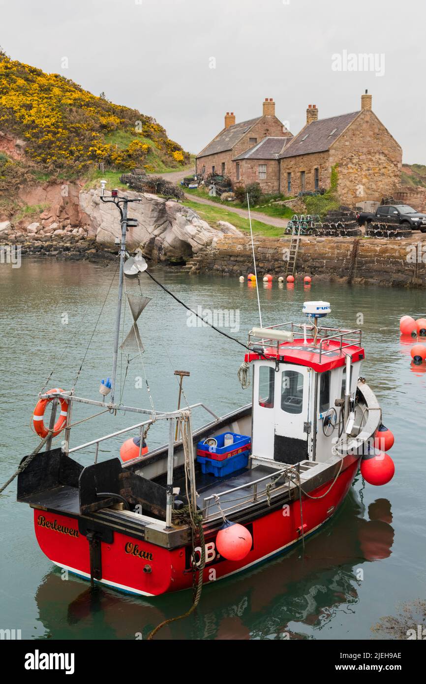 Fishing boat in Cove harbour, Berwickshire, Scotland Stock Photo Alamy