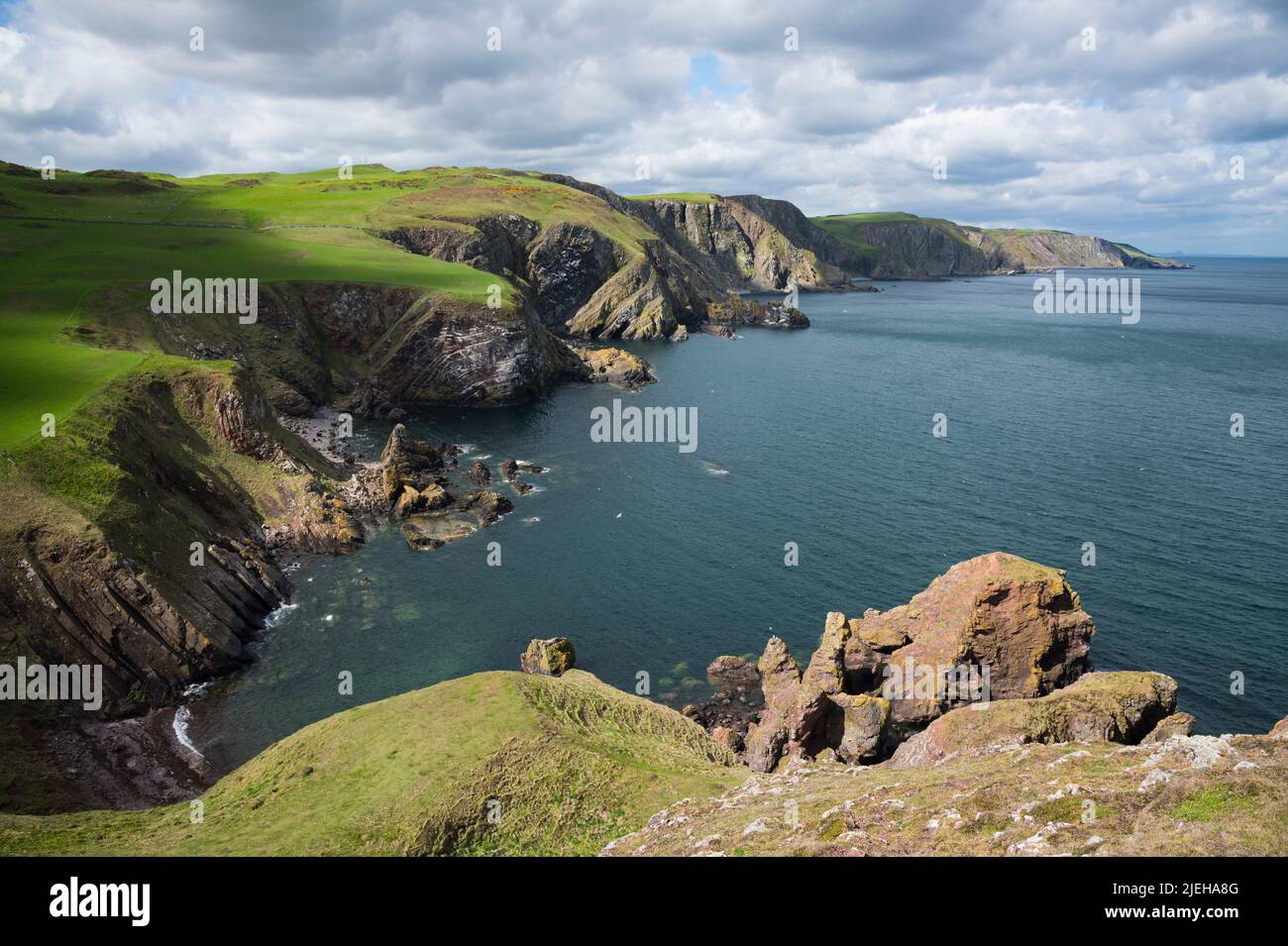 Cliffs along the Berwickshire coast viewed from Pettico Wick, near St Abb's Head, Berwickshire, Scotland Stock Photo