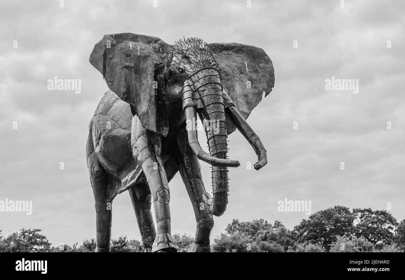 Metal sculptures that are based at the British Iron Works in Oswestry Shropshire. There are lions,tigers,elephants,peacocks,zebras etc etc. Stock Photo