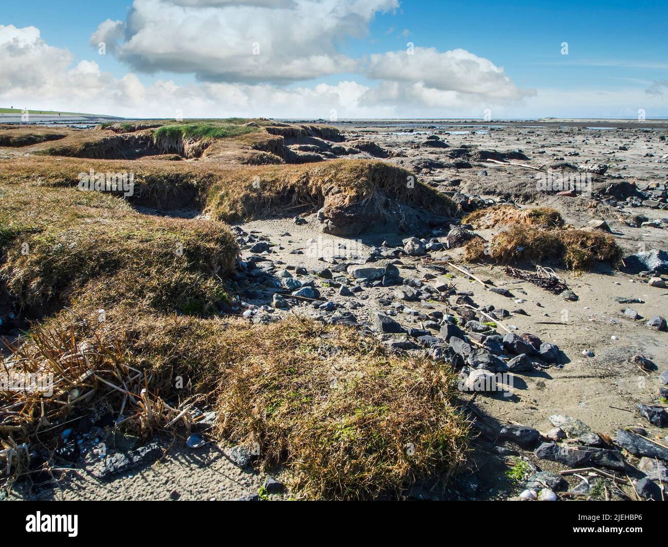 Wide angle landscape view of the North Sea beach at the edge of the salt marshes at low tide and blue sky with white clouds. Stock Photo