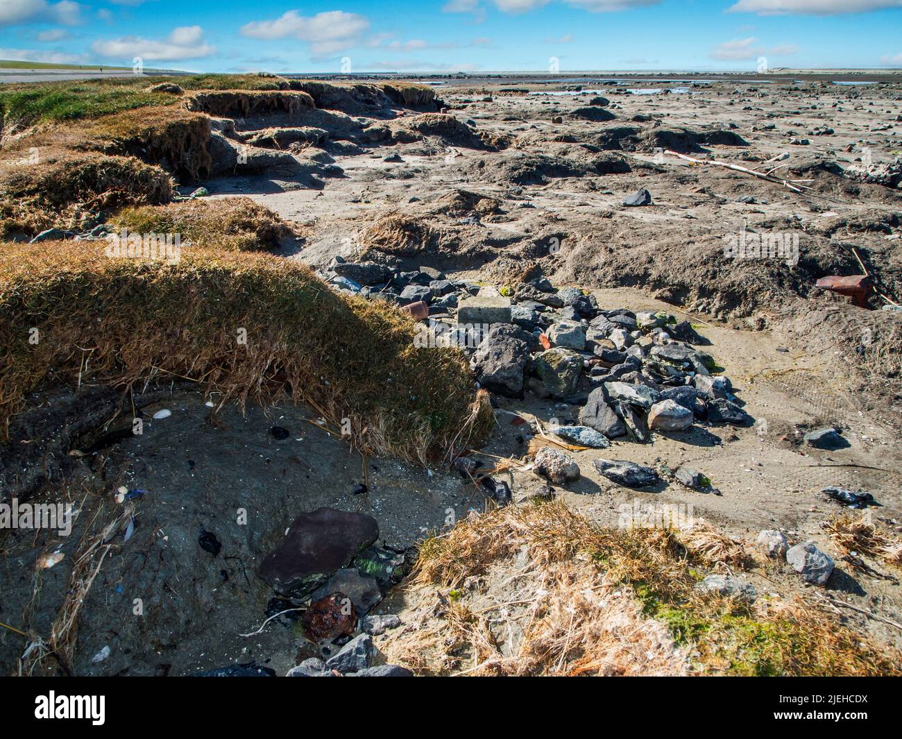 Wide angle landscape view of the North Sea beach at the edge of the salt marshes at low tide and blue sky with white clouds. Stock Photo