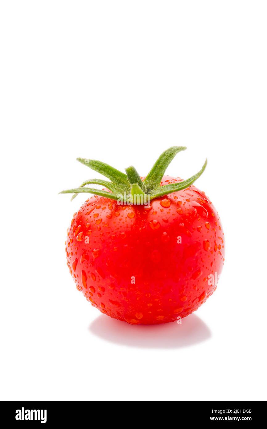 Frische Tomaten, Studioaufnahme, Freisteller, Tomate, Frucht, Gemüse, Stock Photo