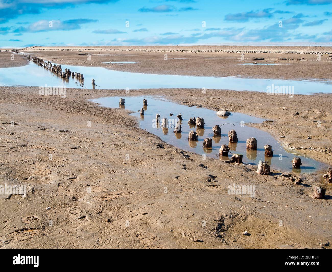 View of the weathered groyne poles on the German North Sea beach in East Friesland at low tide and overcast skies. Stock Photo