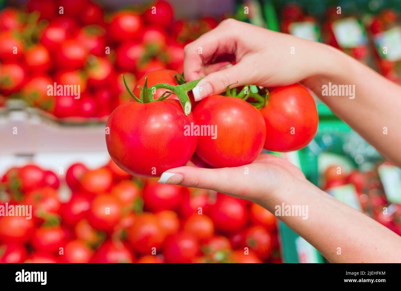 Frische rote Tomaten im Frischeregal eines Supermarktes, Junge Frau kauft ein und wählt aus, Einkaufen, Lebensmittel, Markt, Fachgeschäft, Markt, Mark Stock Photo