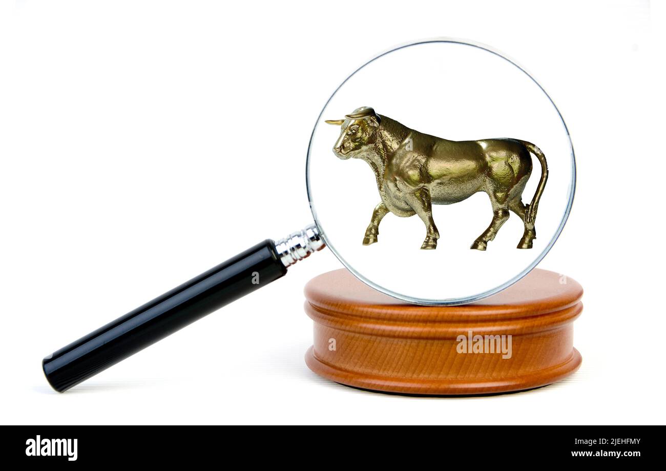 Der Bulle, Symbolbild der Börse, Symbol. für steigende Aktienkurse, Stock Photo
