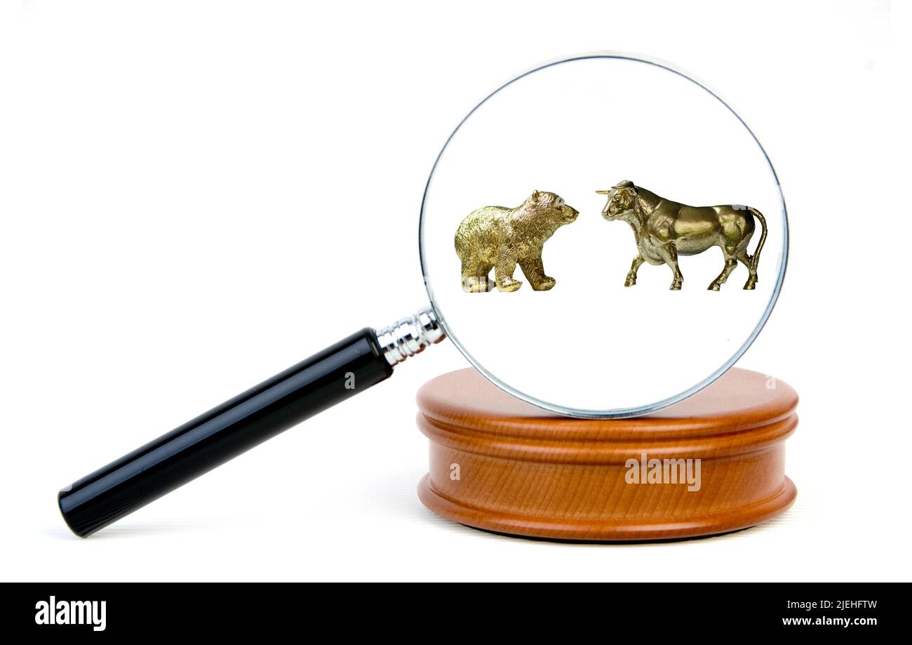 Durch eine Lupe betrachtet, Bulle und Bär, Symbolfiguren der Börse, fallende oder steigende Kurse, Stock Photo