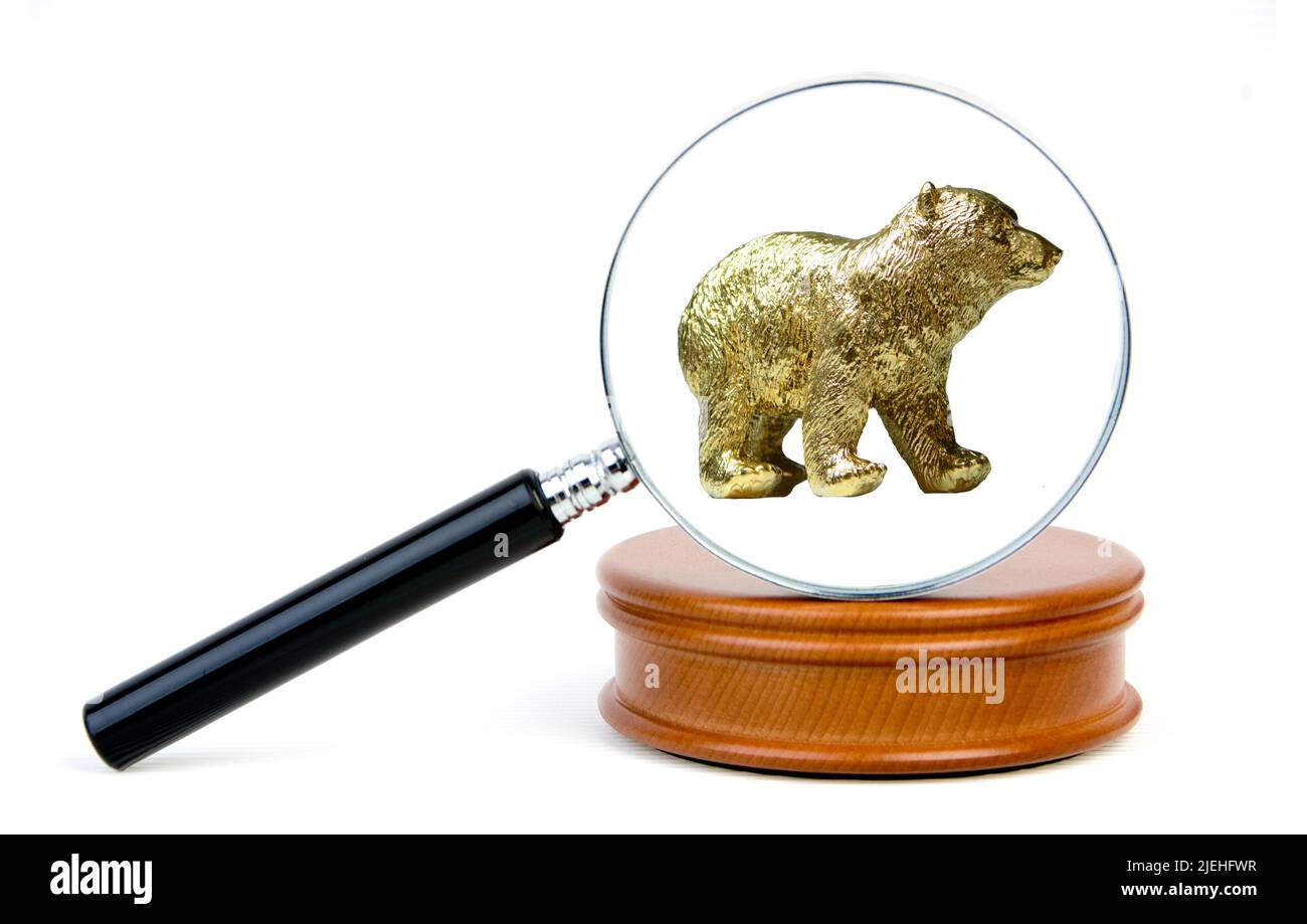 Symbolbild der Börse, der Bär unter der Lupe betrachtet, Symbolbild für fallende Kurse, Stock Photo