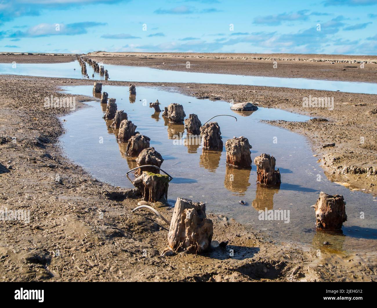 View of the weathered groyne poles on the German North Sea beach in East Friesland at low tide and overcast skies. Stock Photo