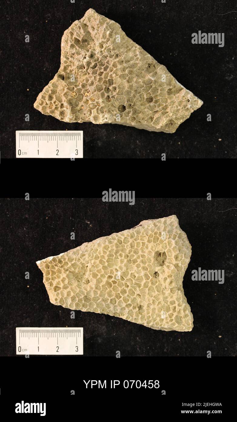 The amsden hi-res stock photography and images - Alamy