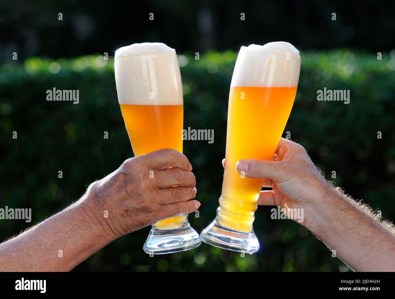 Zwei Hände mit je einem Bier, Biergarten, Freunde, oktoberfest, München, Stock Photo