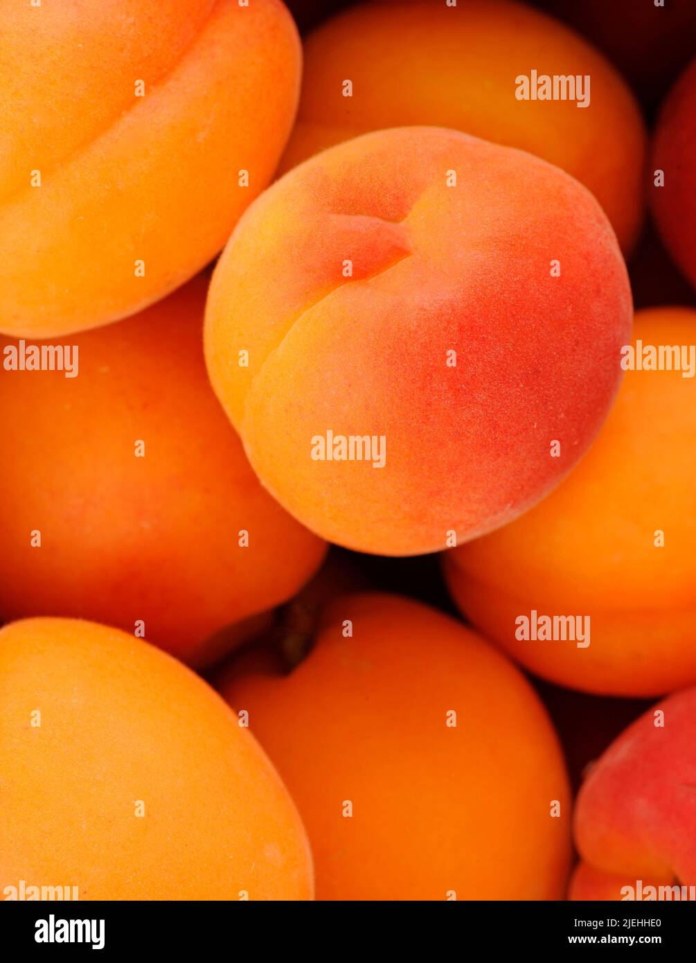 Frisch Aprikosen Früchte, Obst, Nahrungsmittel, Vitamine, Stock Photo