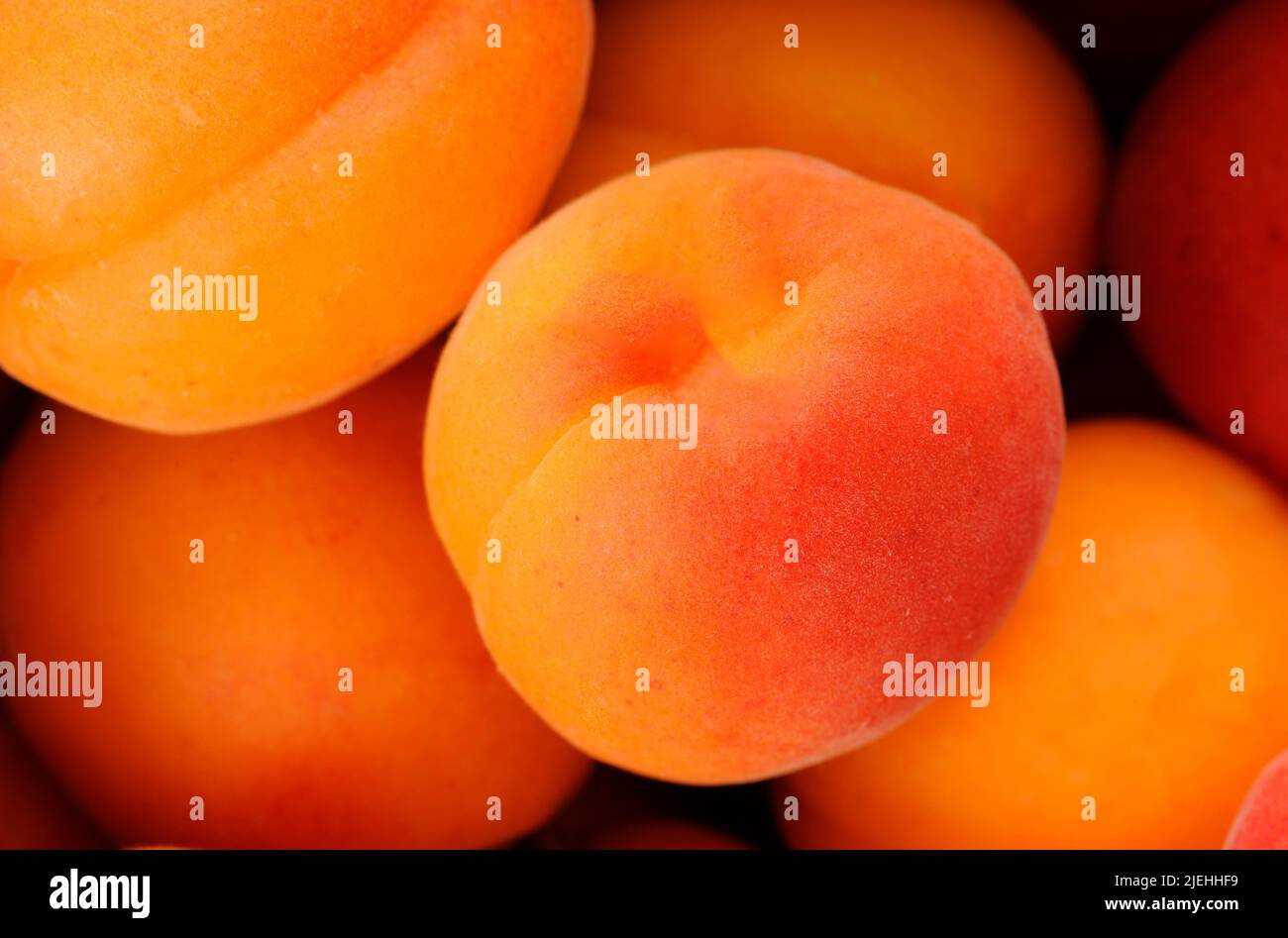 Frisch Aprikosen Früchte, Obst, Nahrungsmittel, Vitamine, Stock Photo
