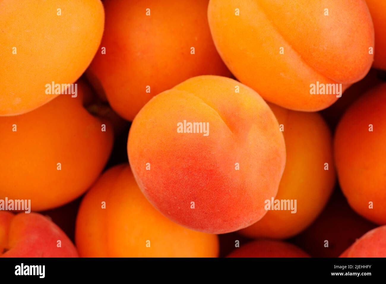 Frisch Aprikosen Früchte, Obst, Nahrungsmittel, Vitamine, Stock Photo