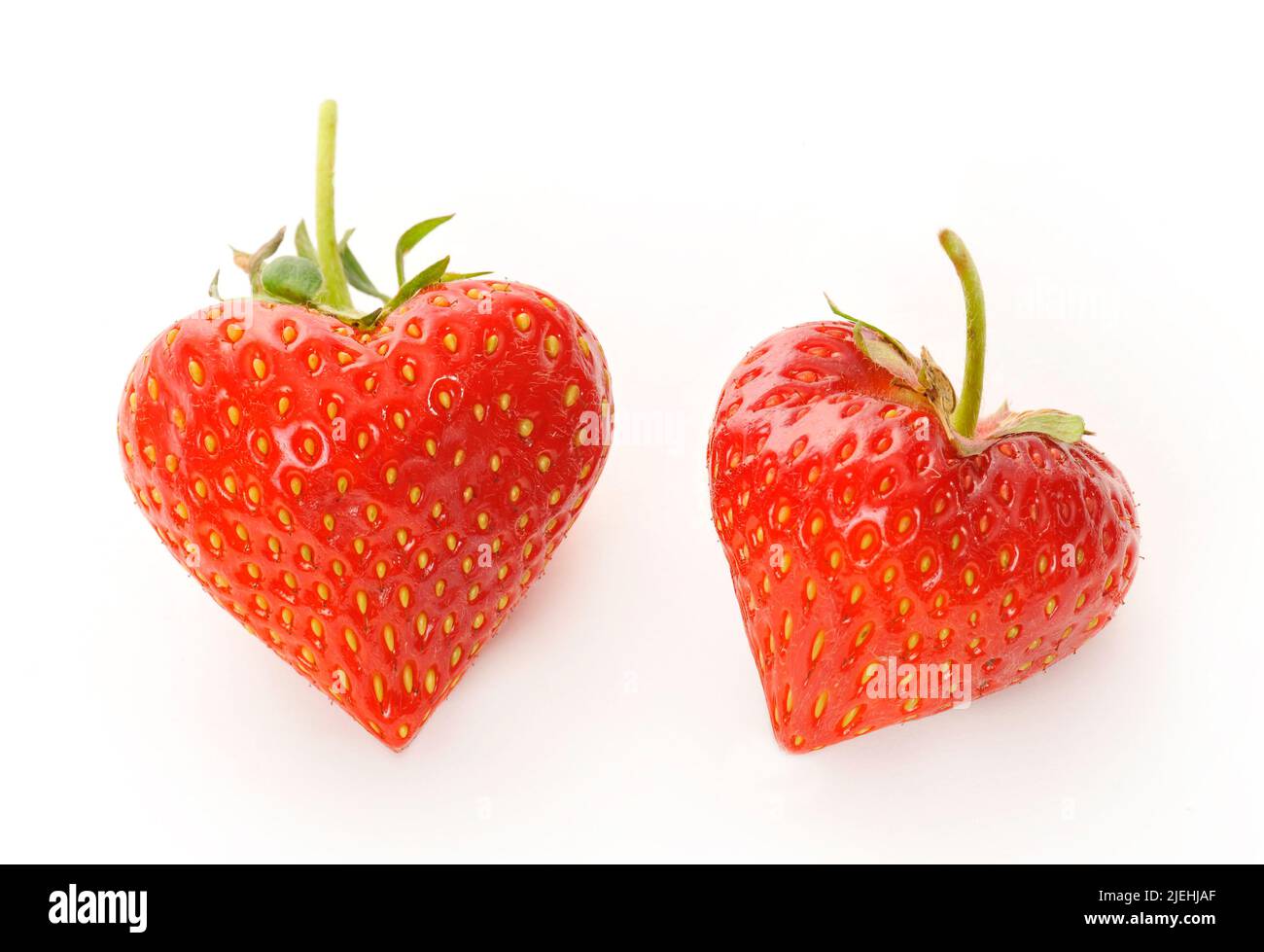 Zwei Erdbeeren in Herzform, eine Laune der Natur, Erdbeere, Stock Photo