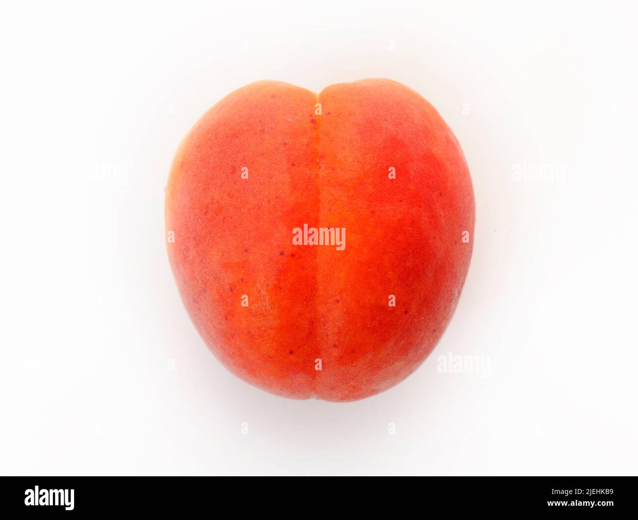 Prunus aarmeniaca hi-res stock photography and images - Alamy