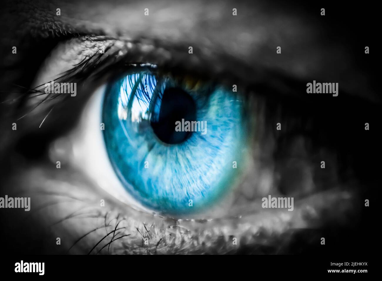 Black and white eye with blue iris pop Stock Photo Alamy