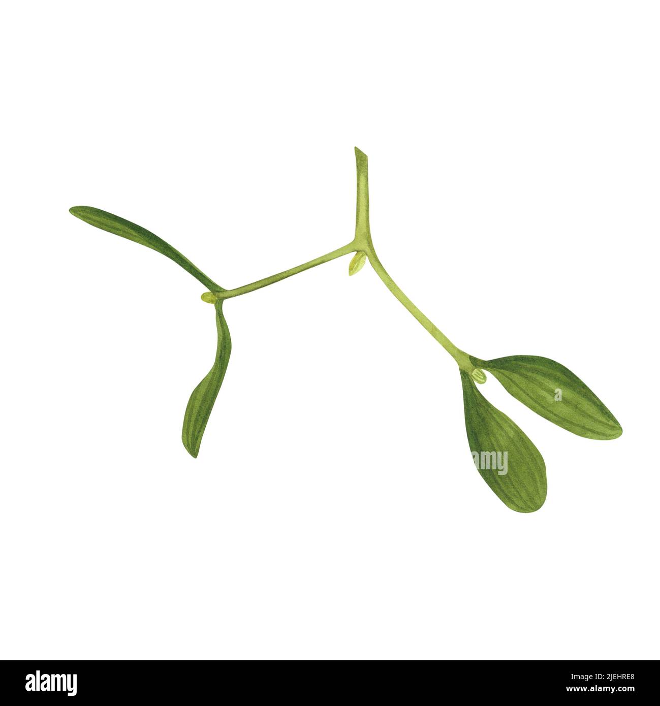 Kiss mistletoe victorian hi-res stock photography and images - Alamy