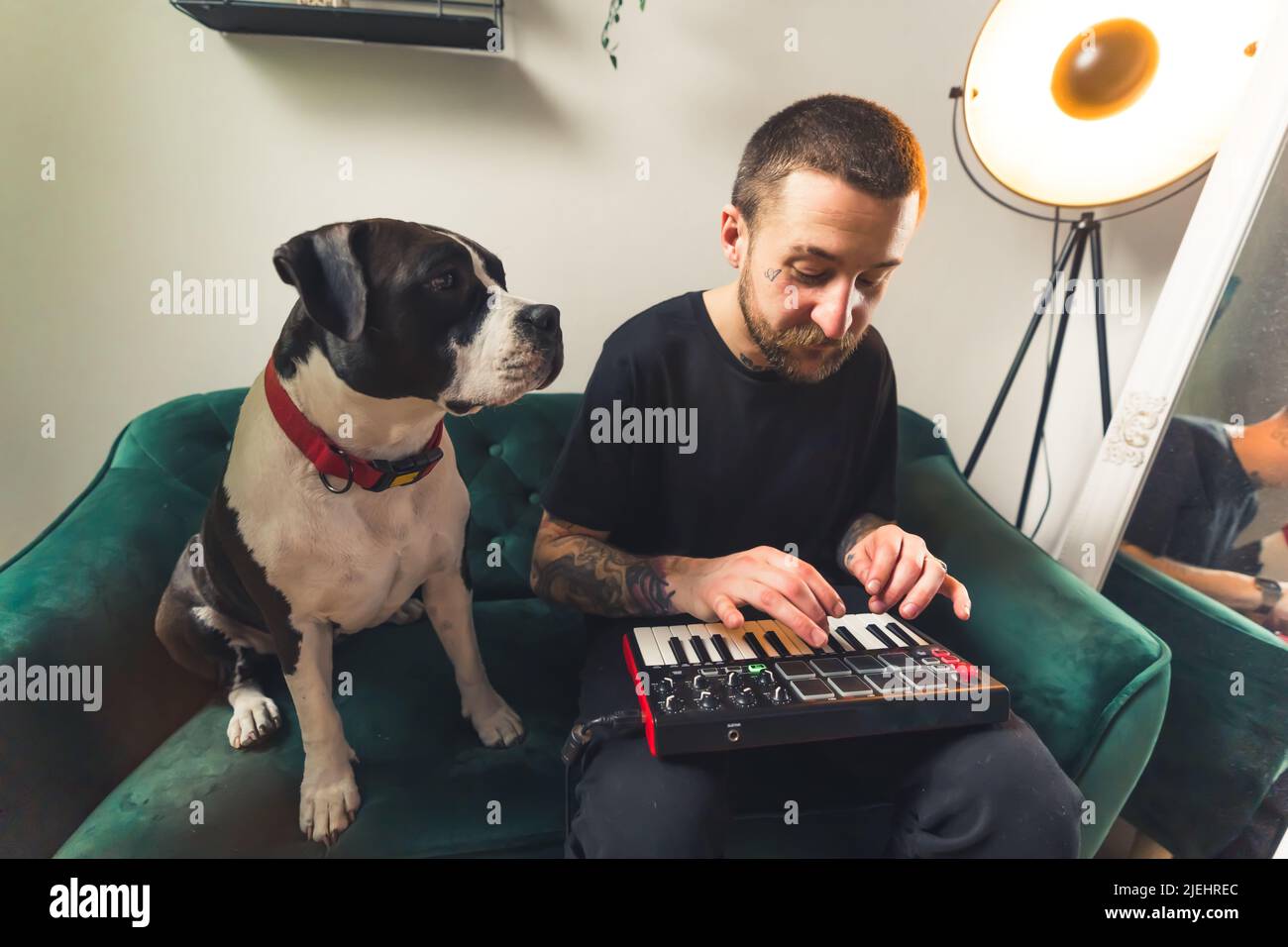 young Caucasian man working on MIDI controller keyboard while black and white amstaff dog sits beside home background medium full shot . High quality photo Stock Photo