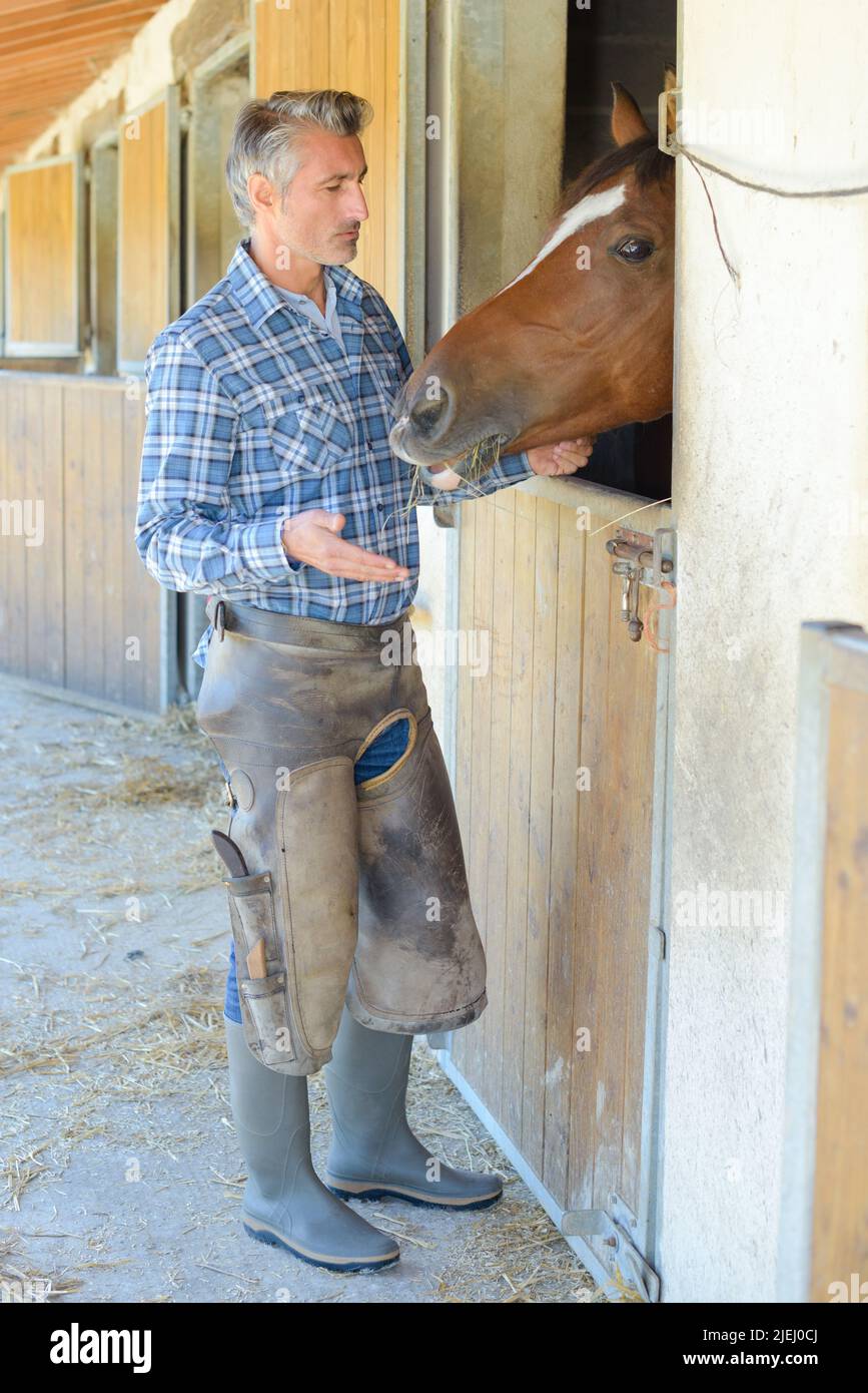 stable hand stroking horse in stables Stock Photo