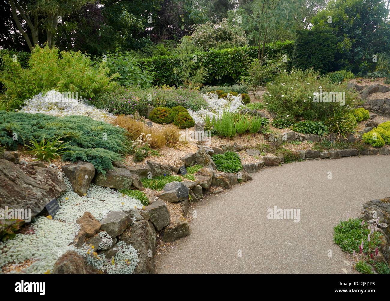 Outstanding Alpine Rockery at Burnby Hall Gardens in East Yorkshire