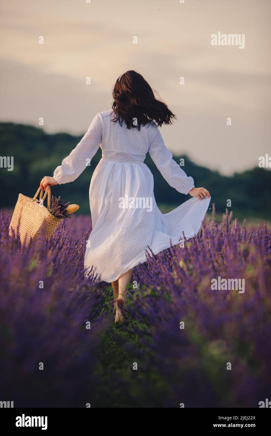 gorgeous woman in white dress at lavender field sunset time Stock Photo ...
