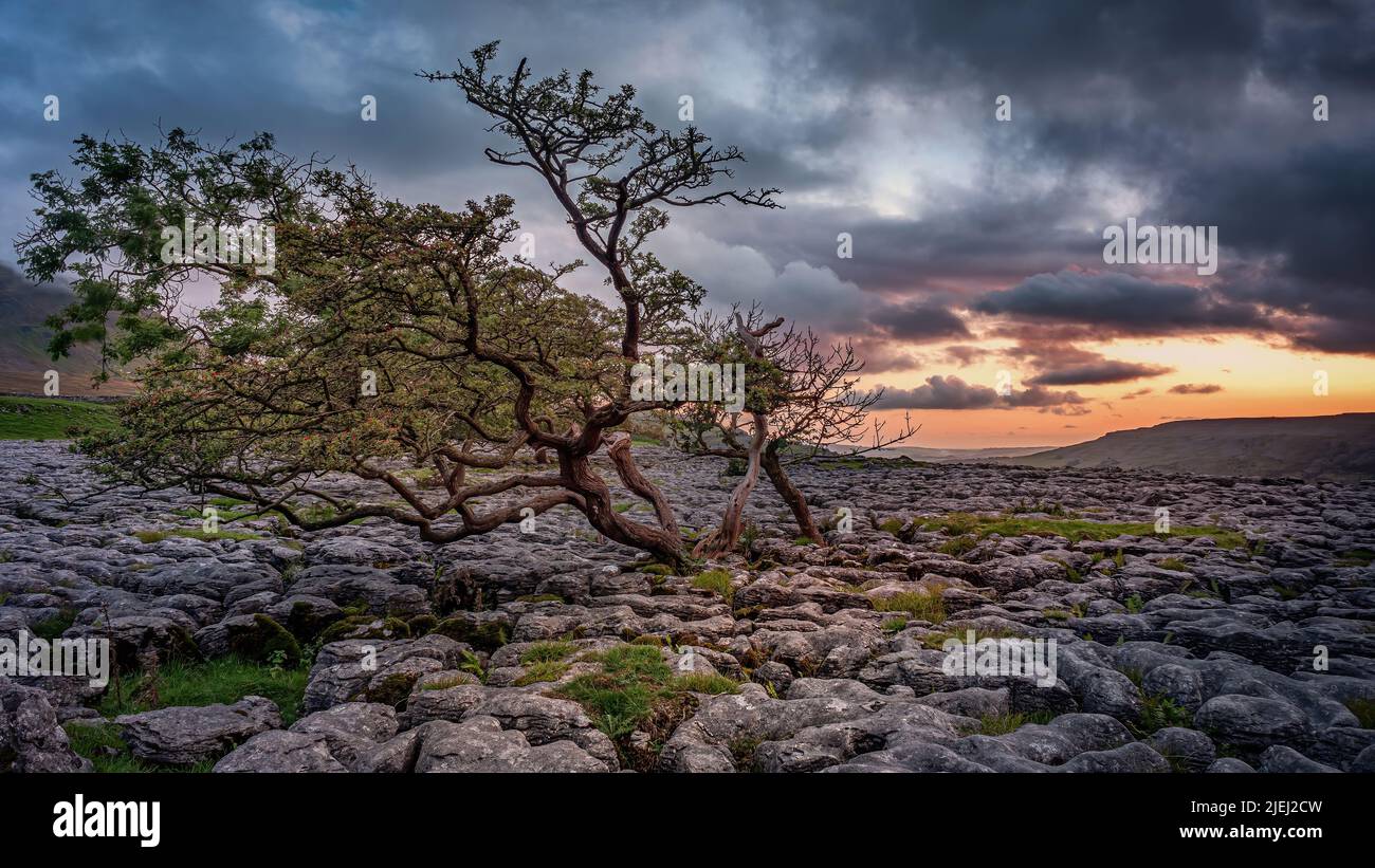 Colourful sunset sky over limestone pavement landscape in the Yorkshire Dales National Park Stock Photo