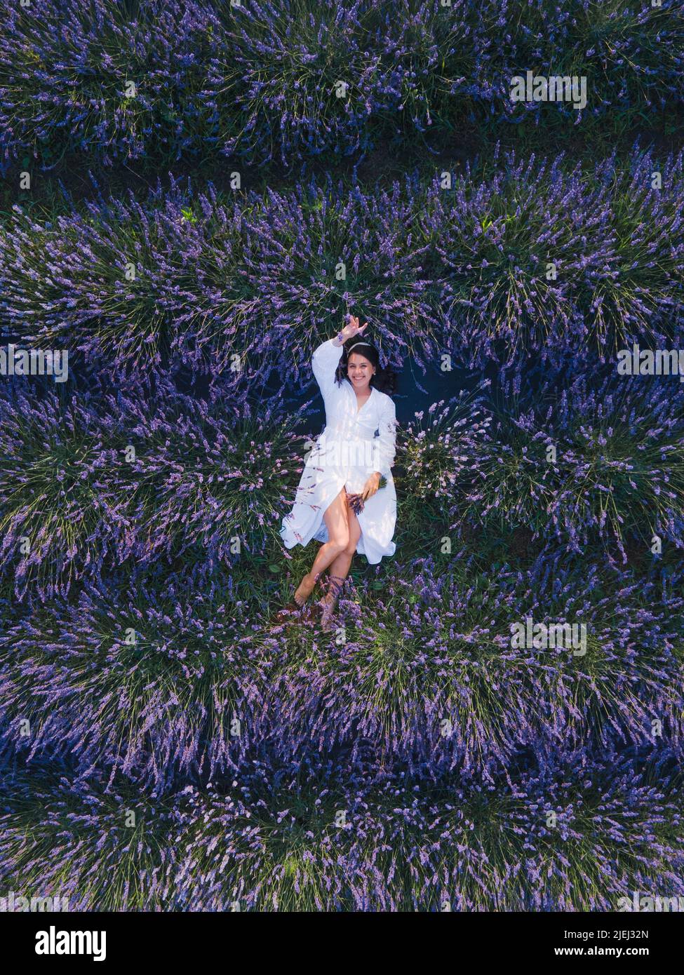 gorgeous woman in white dress at lavender field sunset time Stock Photo ...