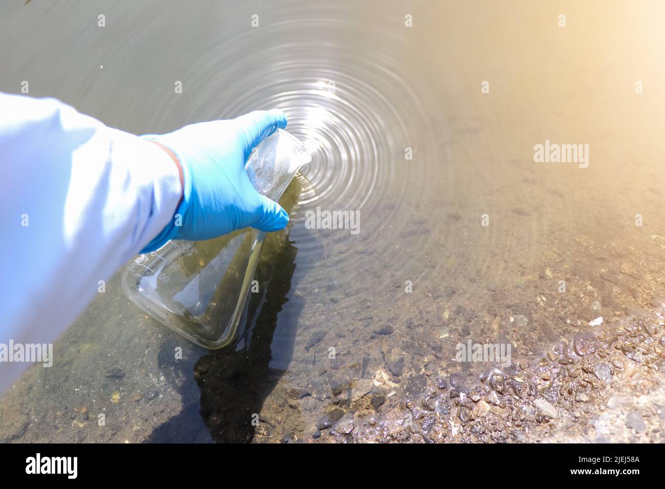 Collect water samples in industrial canals for examination And day