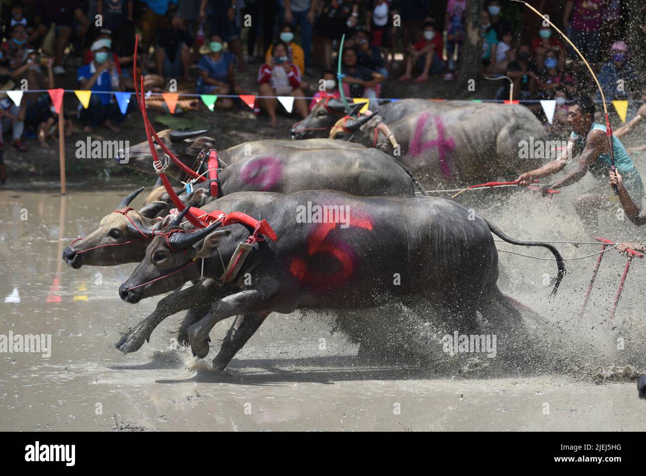 Wing kwai hires stock photography and images Alamy